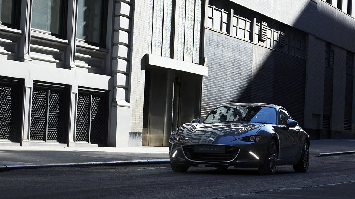 Read more about the article Roadster