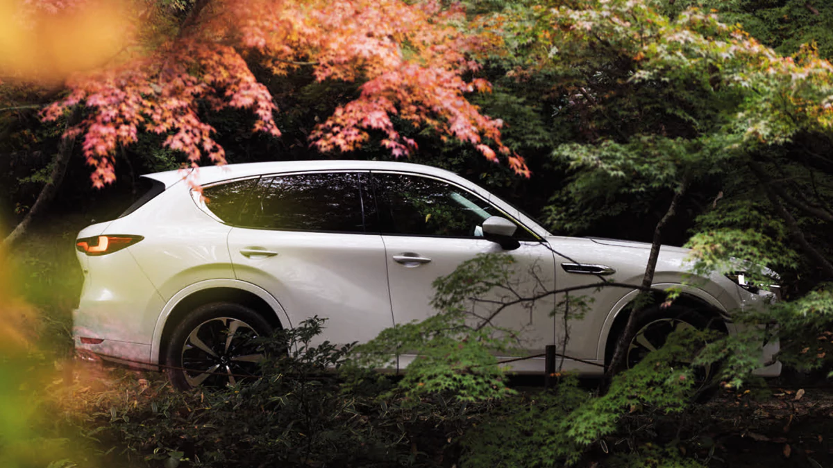 Read more about the article SUV